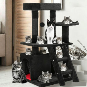 SZHD-SP1003-14 Cat Tree with Condo, Perches & Ladder - Cats Exploring and Napping in Living Room